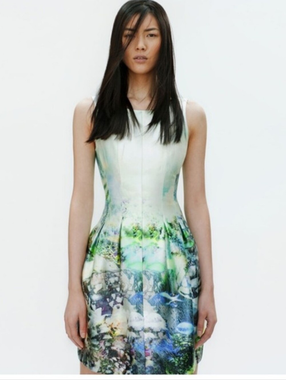 Zara Fish Aquarium Print Sleeveless Dress Size XL